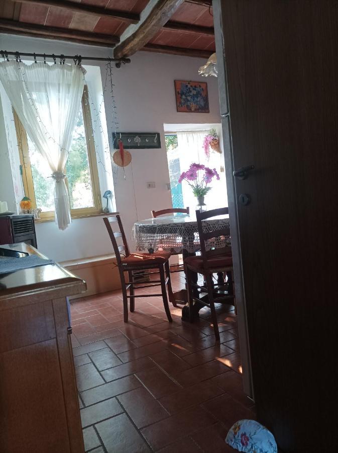 Il Mulino, Piccolo Appartamento, Immerso Nella Val Di Farma. Lama  エクステリア 写真